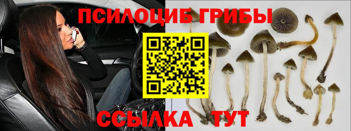 Электросталь  Галлюциногенные грибы Psilocybine cubensis  Галлюциногенные грибы Cubensis  Вход с VPN 